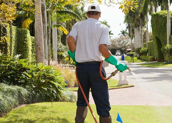 About Starke FL Pest Control